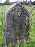 image of grave number 289557